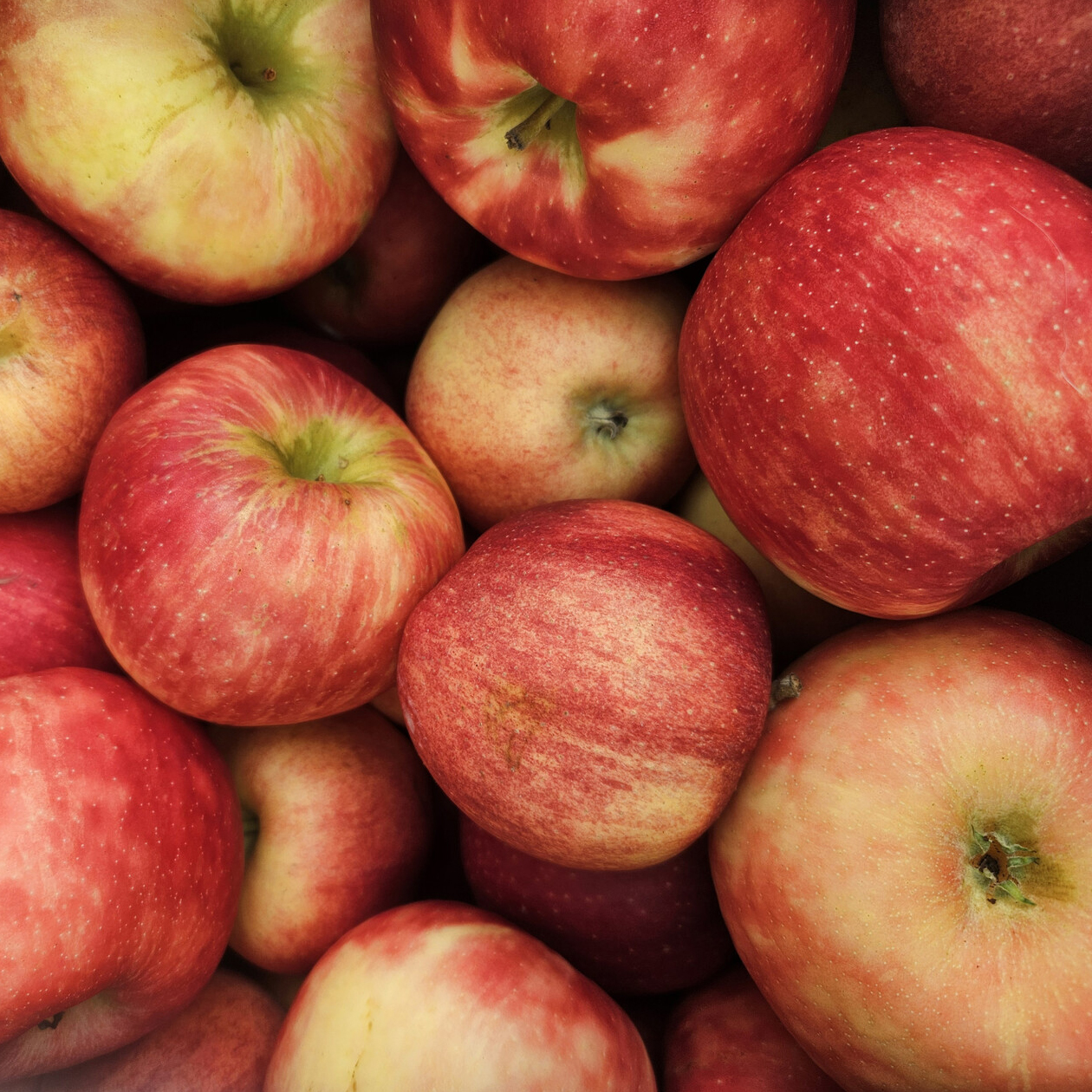 Apples 2